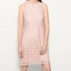 Massimo Dutti Guipure Lace Crossover Back Lined Dress